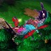 faeriedragon.jpg